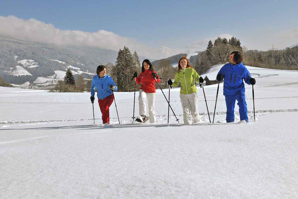 Winterwandern & Schneeschuhwandern - Winterurlaub & Skiurlaub in Flachau, Salzburger Land, Ski amadé - Ferienwohnung im Haus Maier